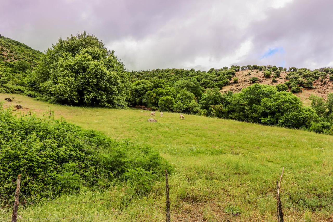 Country Home Genesi 20 Min From Trikala Exterior photo