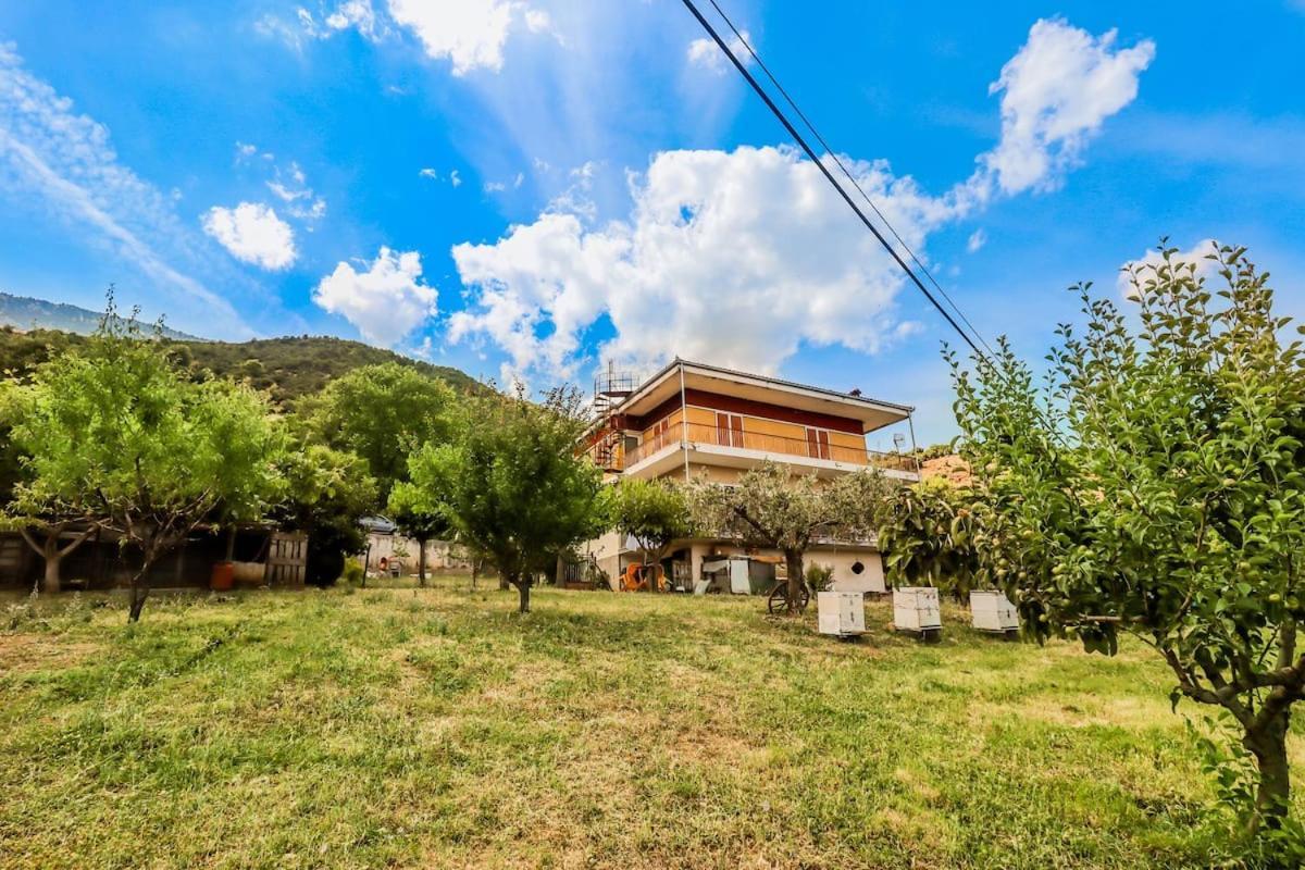 Country Home Genesi 20 Min From Trikala Exterior photo