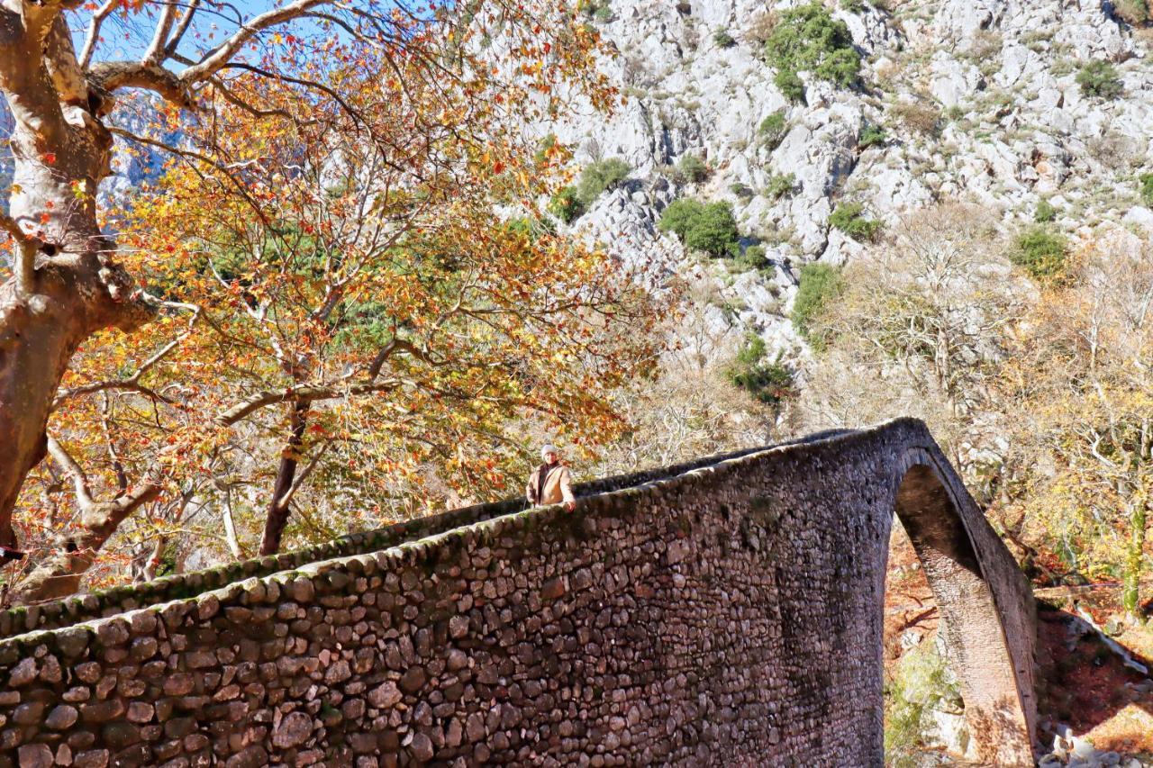 Country Home Genesi 20 Min From Trikala Exterior photo