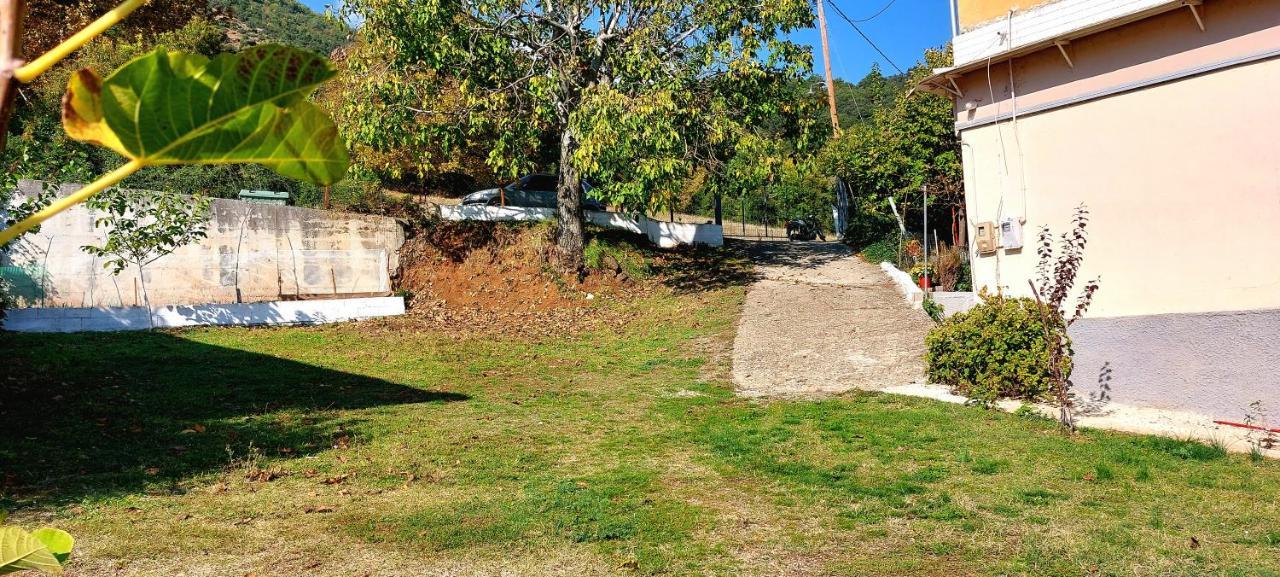 Country Home Genesi 20 Min From Trikala Exterior photo