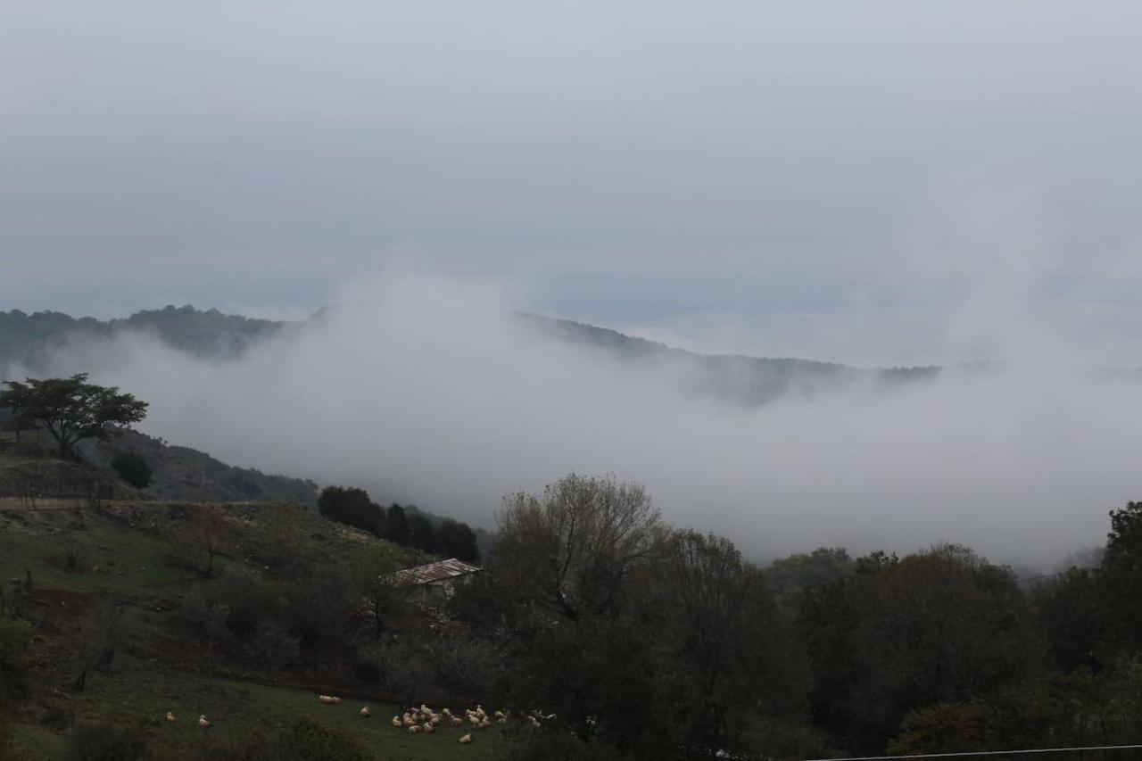 Country Home Genesi 20 Min From Trikala Exterior photo