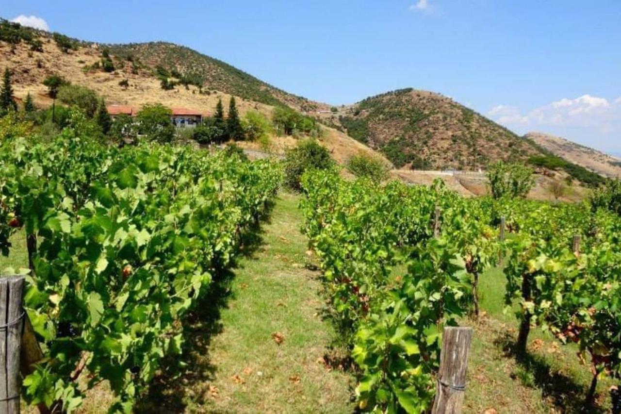 Country Home Genesi 20 Min From Trikala Exterior photo