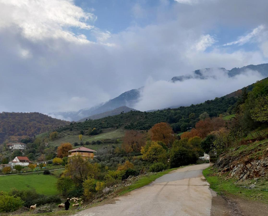 Country Home Genesi 20 Min From Trikala Exterior photo